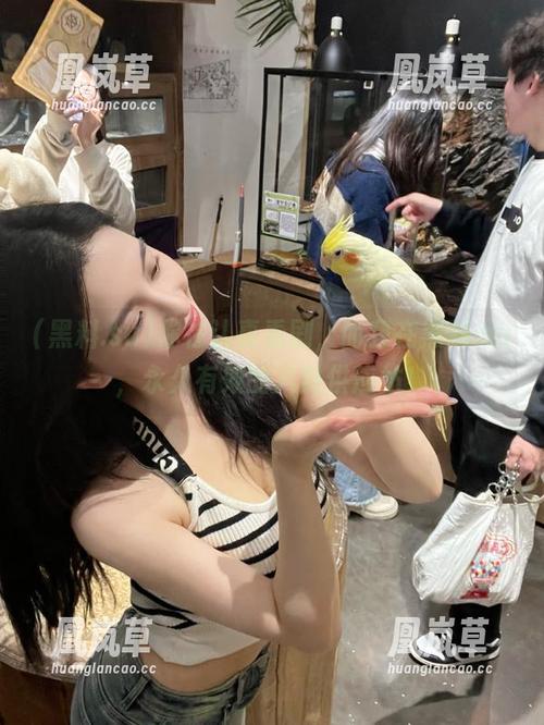 黑料.su 你在认真看剧,而我在黑料.su,永久有效的八卦供应站!
