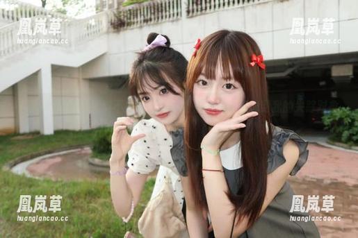 黑料不打烊官网，能在新月搜索找到我的失踪对象吗？