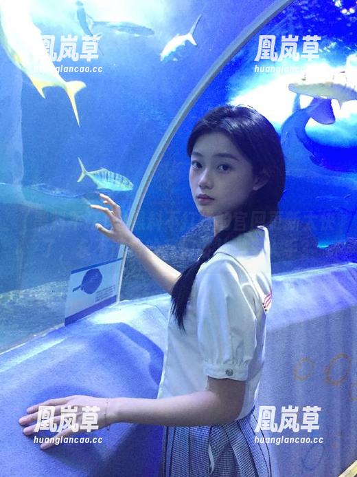 黑料不打烊 黑料不打烊的官网更新太快了,永不迷路的我们该从哪里入手?
