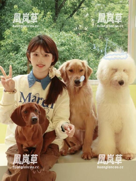买瓜不如链接黑料吃瓜网ax，开启吃瓜新时尚！