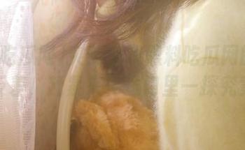 突然发现黑料吃瓜网的正能量反差，赶紧来传送门里一探究竟！
